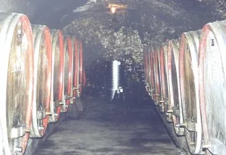 Weinberge an der Mosel aus der Vogelperspektive