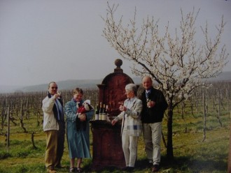 Schiefer-Steillagen an der Mosel