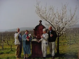Schiefer-Steillagen an der Mosel